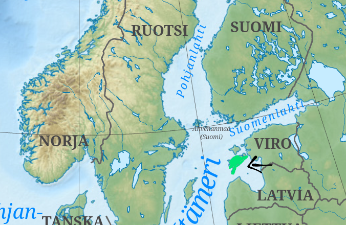 term image