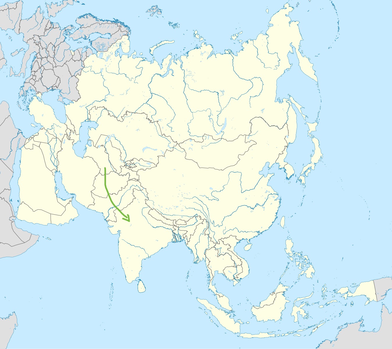 term image