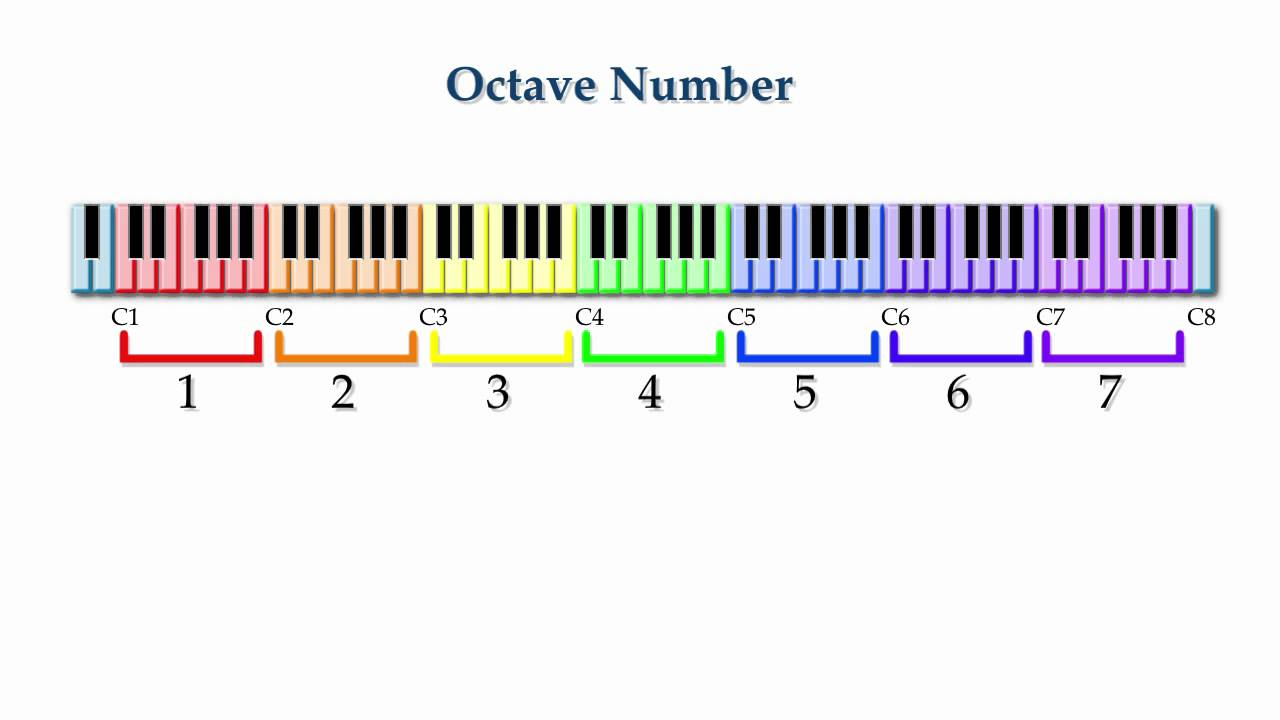 <p>7 oitavas</p><p>88 teclas </p>