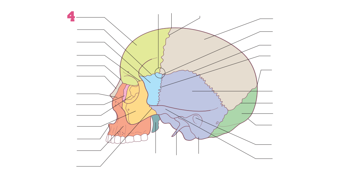 <p>04</p>