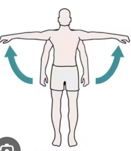 <p>What type of joint movement is this?</p>
