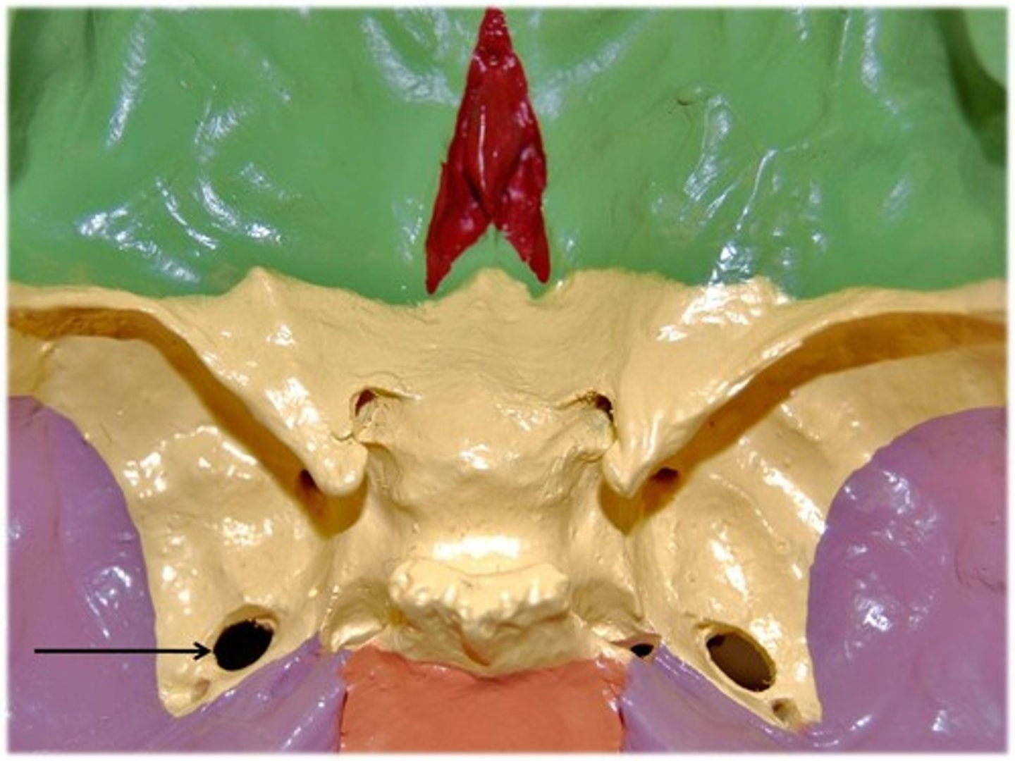 <p>Name this structure</p>