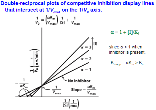 <p>Binds to enzyme</p><p>Calculate for Vmax and Km</p>