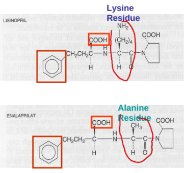 <p>lisinopril and enalapril, which utilize carboxylate groups for activity. </p>