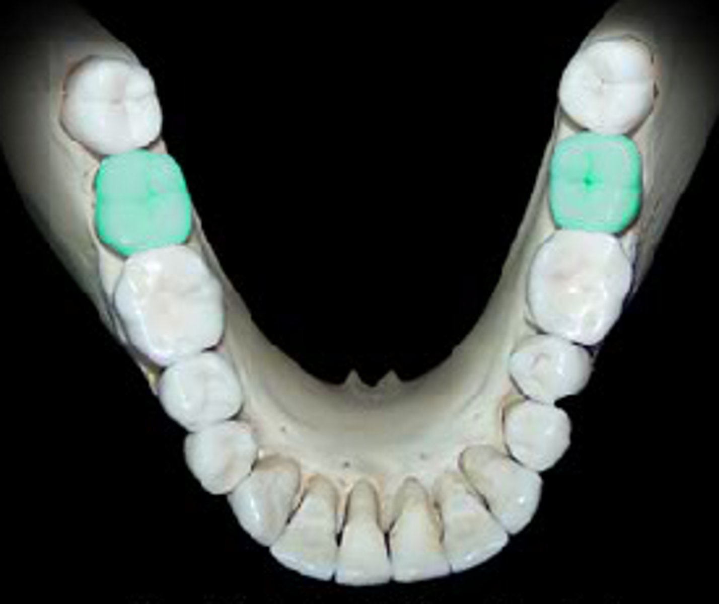 <p>name this</p>