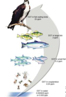 <p>What does this image show?</p>