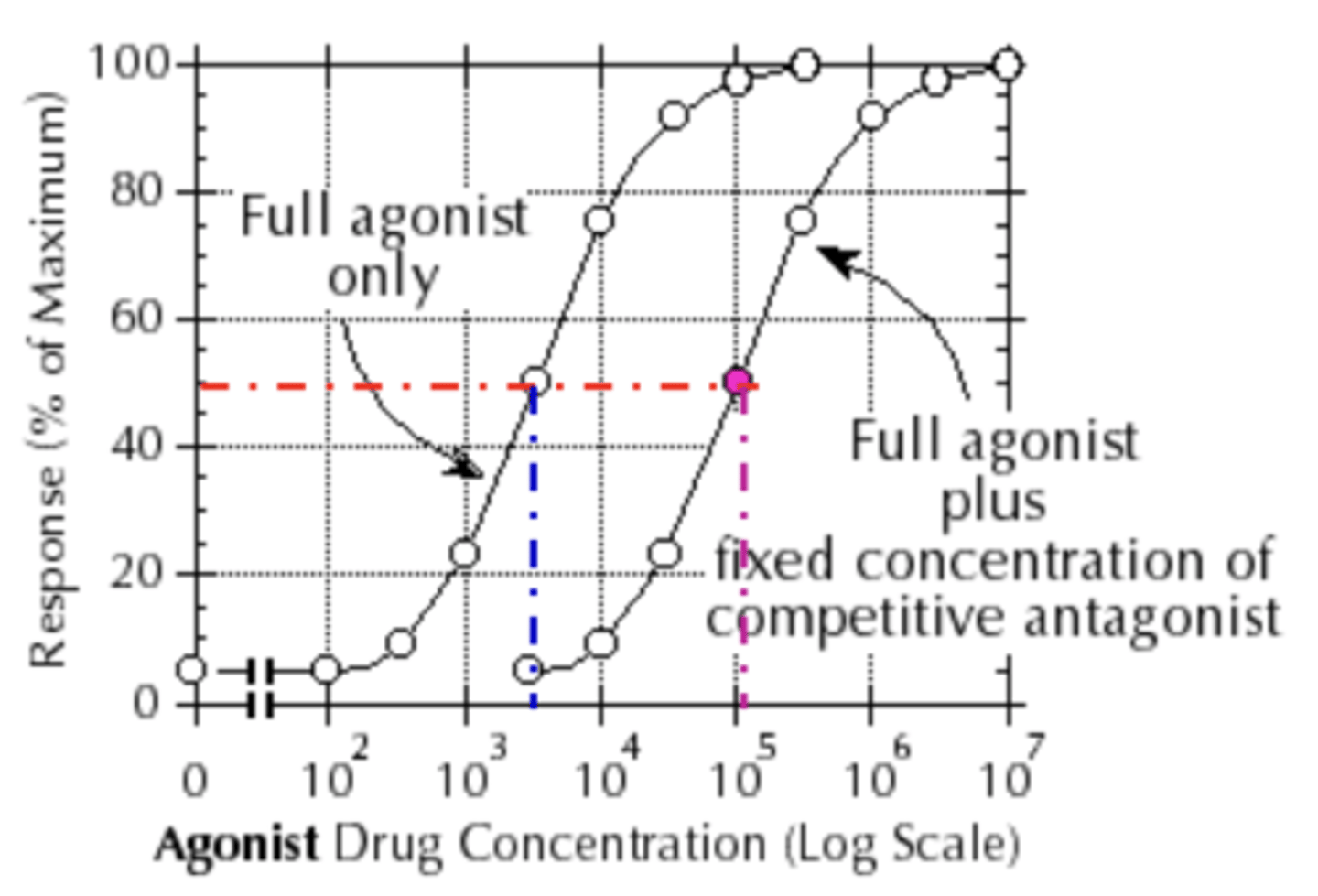 <p>reduced, but the maximum efficacy is not</p><p>(similar effect as a partial agonist)</p>