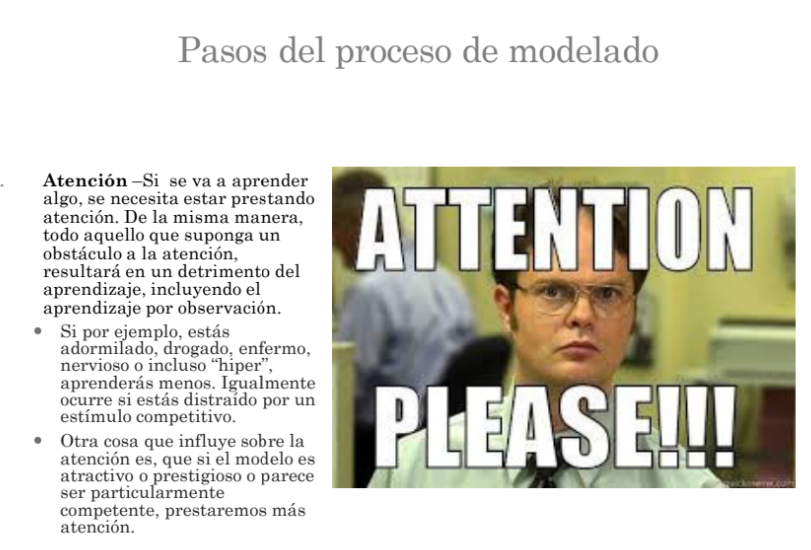 <p>KEY&nbsp;<span>significa que </span><strong>cualquier factor que obstaculice la concentración en el modelo causará una disminución o perjuicio en la capacidad del observador para adquirir la nueva conducta.</strong><span>Específicamente, el resultado de tener obstáculos en la atención es que la persona </span><strong>aprenderá menos</strong><span> la acción que está presenciando, ya sea porque está adormilada, enferma, nerviosa, o distraída por un estímulo competitivo</span></p>