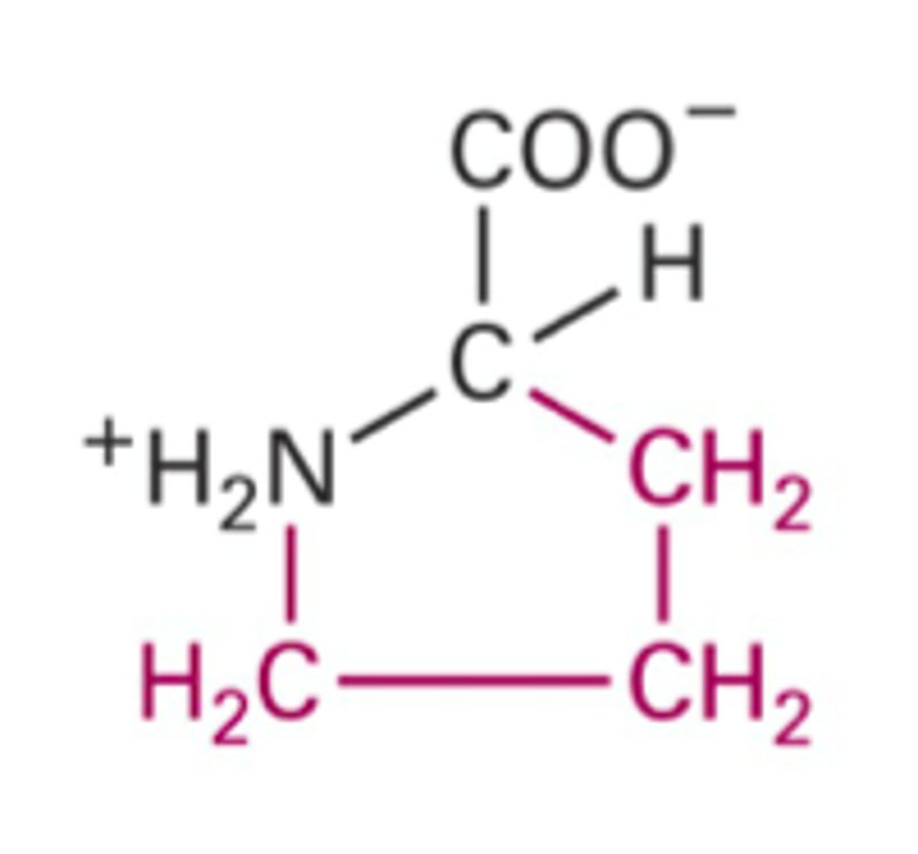 <p>What structure is this?</p>