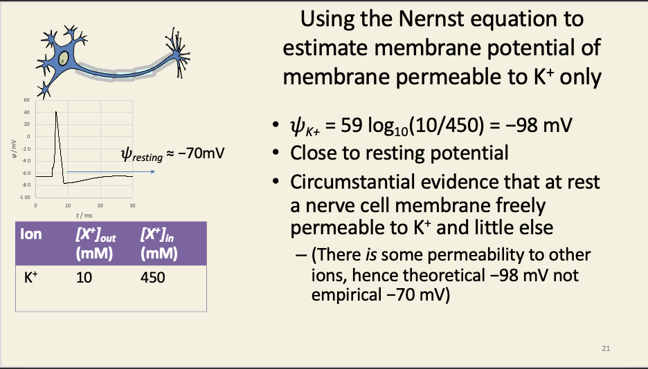 knowt flashcard image