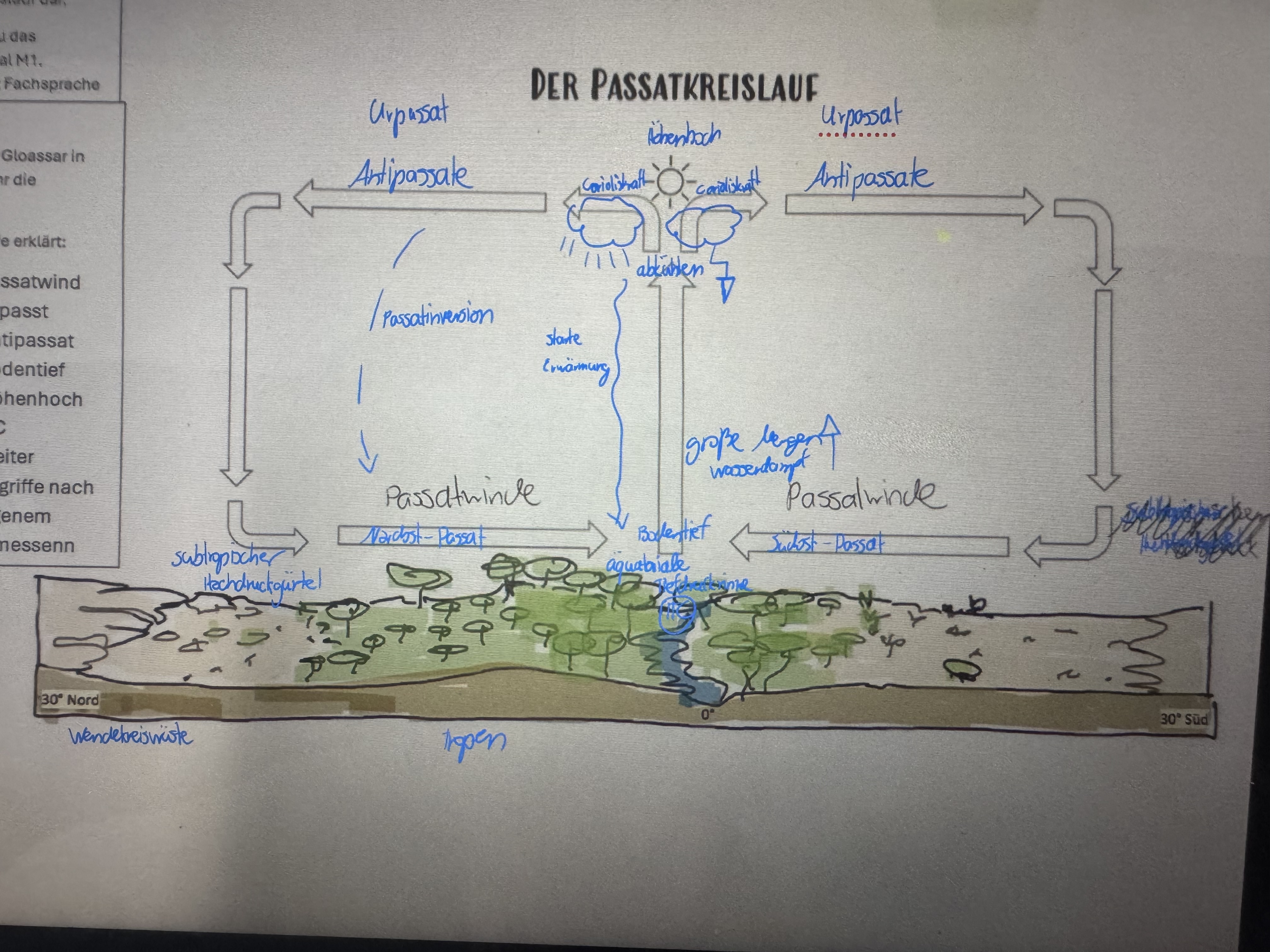 <ul><li><p>Passatwind: Bodennahe Strömung durch Druckgefälle zwischen subtropische Hochdruckzellen&amp; tiefen Druck am ÄQ (NHK: Nordostpassat, SHK: Südostpassat)</p></li><li><p>Antipassat: aufgestiegene Luftströmungen, die durch Corioliskraft abgelenkt werden, sinkt trockenadiabatisch in subtropische Hochdruckzellen ab ( Westwind)</p></li><li><p>Bodentief/Höhenhoch: durch starke Erwärmung der unteren Luftschichten durch Zenitstand der Sonne &amp; Ausdehnung der warmen Luft → Thermisches Bodentief/Höhenhoch</p></li><li><p>Gewitterwolken: im Bereich des ITC nimmt die aufsteigende Luft große Mengen an Wasserdampf auf und kühlt sich adiabatisch ab → Gewitterwolken mit Starkregen</p></li><li><p>Urpassat (Ostwinde)</p></li></ul><p></p>