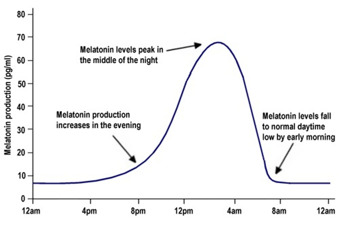 <p>(B) Melatonin, Pineal</p><p>Melatonin is a hormone, produced in the Pineal gland that helps control a human's internal clock or circadian rhythm.</p>