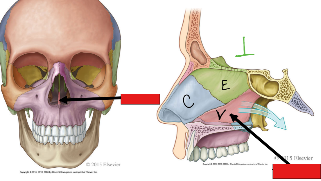 <p>fill in the red box:</p>