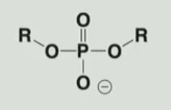<p>Identify the functional group</p>