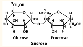 <p>Sucrose</p>
