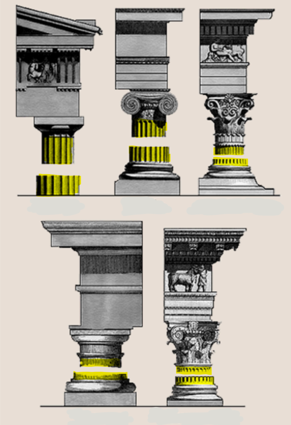 term image