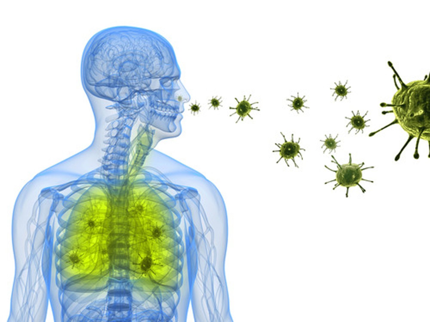 <p>illness caused by bacteria, viruses, or fungi that enter the body and multiply</p>