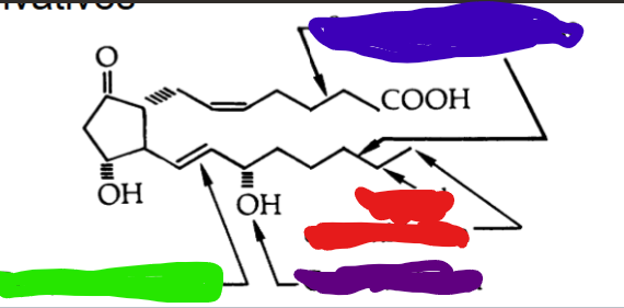 <p><strong>Prostanoid Inactivation:</strong></p><ol><li><p>hydroxylation by 15-a-hydroxy prostaglandin hydroxylase (PGH) followed by reduction by 13 prostaglandin reductase</p><p></p></li><li><p>oxidation of hydroxy group at C15 to keto group</p><p></p></li><li><p>reduction of C13 and C14 to dihydroxy derivatives</p><p></p></li><li><p>B-oxidation - resulting in the loss of 2 carbons</p></li></ol><p></p><ol start="5"><li><p>w-hydroxylation to dicarboxylic acid derivatives</p></li></ol><p></p><p></p><p>COLOR CODE THE WHERE THE FOLLOWING INACTIVATION ROUTES WOULD OCCUR </p>