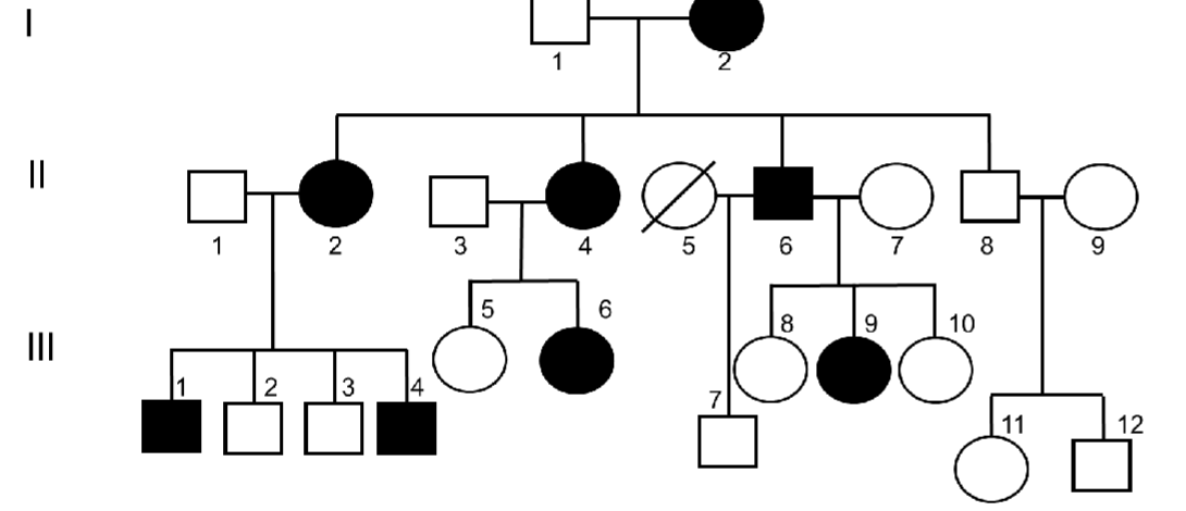 <p><span style="color: blue">The pedigree below</span><span style="color: blue"><br></span><span style="color: blue">represents the inheritance of a trait in a family. If the mutation</span><span style="color: blue"><br></span><span style="color: blue">was recessive, what would individuals I-1, II-1 and II-3 have</span><span style="color: blue"><br></span><span style="color: blue">in common?</span><span style="color: blue"><br></span><span style="color: blue">A. They are heterozygous</span><span style="color: blue"><br></span><span style="color: blue">B. They are homozygous dominant</span><span style="color: blue"><br></span><span style="color: blue">C. They are homozygous recessive</span><span style="color: blue"><br></span><span style="color: blue">D. They carry the mutated allele in the Y-</span><span style="color: blue"><br></span><span style="color: blue">chromosome</span></p>