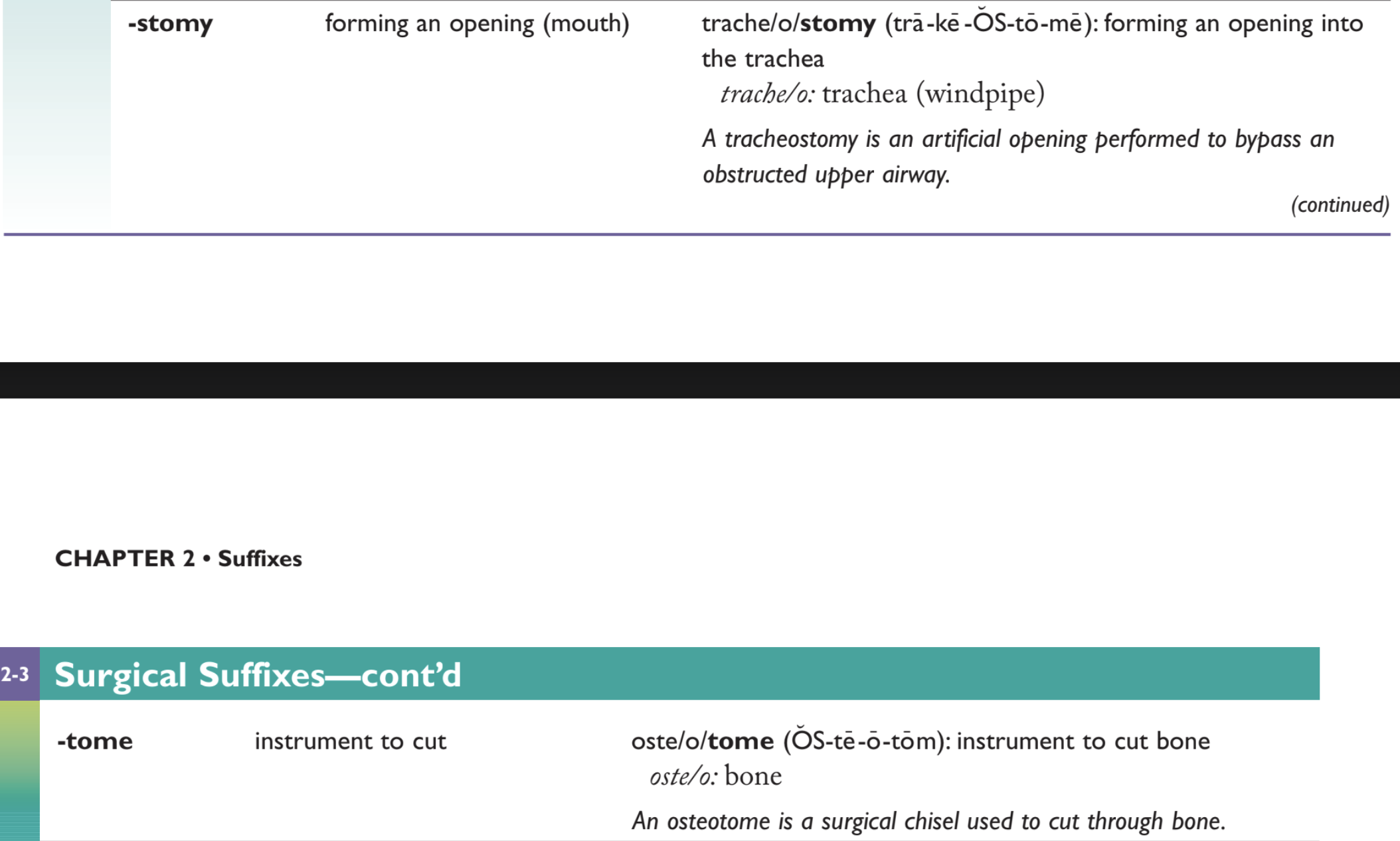 <p>Forming an opening (mouth) into the colon:</p><p>A. Appendectomy<br>B. Colostomy<br>C. Colotomy<br>D. Colectomy</p>