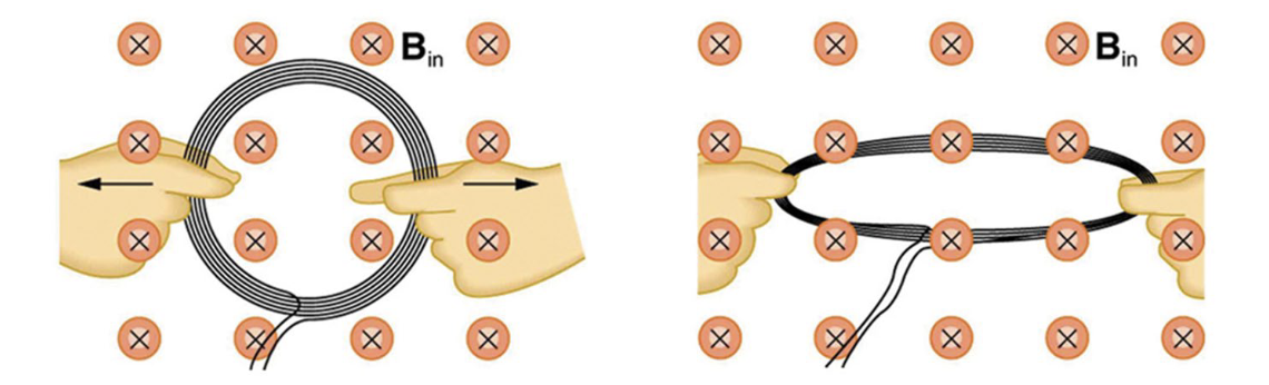 <p>Suppose a 50.0-turn coil lies in the plane of the page in a uniform magnetic field that is directed into the page. The coil originally has an area of 0.250 m 2 . It is stretched to have no area in 0.100 s. What is the magnitude of the induced emf if the uniform magnetic field has a strength of 1.50 T?</p>