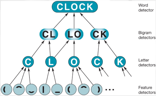 <p>a pair of consecutive written units such as letters, syllables, or words</p><ul><li><p>can be part of the neural network</p></li><li><p>helps explain the word-superiority effect</p></li></ul>