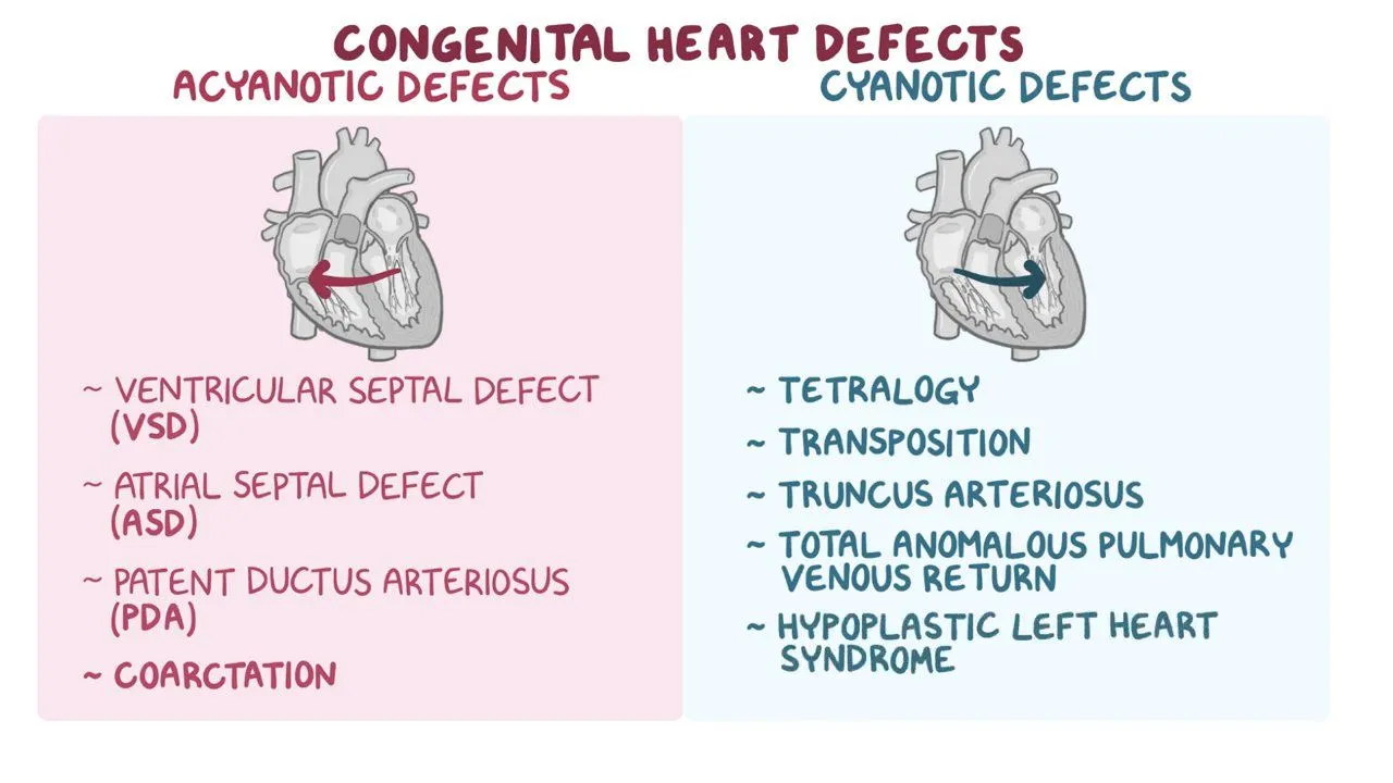<p>Acyanotic Congential defects</p>