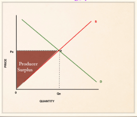 <p>benefit producers receive when they receive a price above the one which they were willing to supply the good</p>