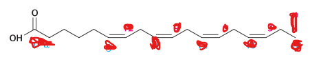 <p>number this fatty acid</p>