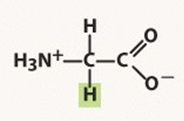 <ul><li><p>Non Polar</p></li></ul>