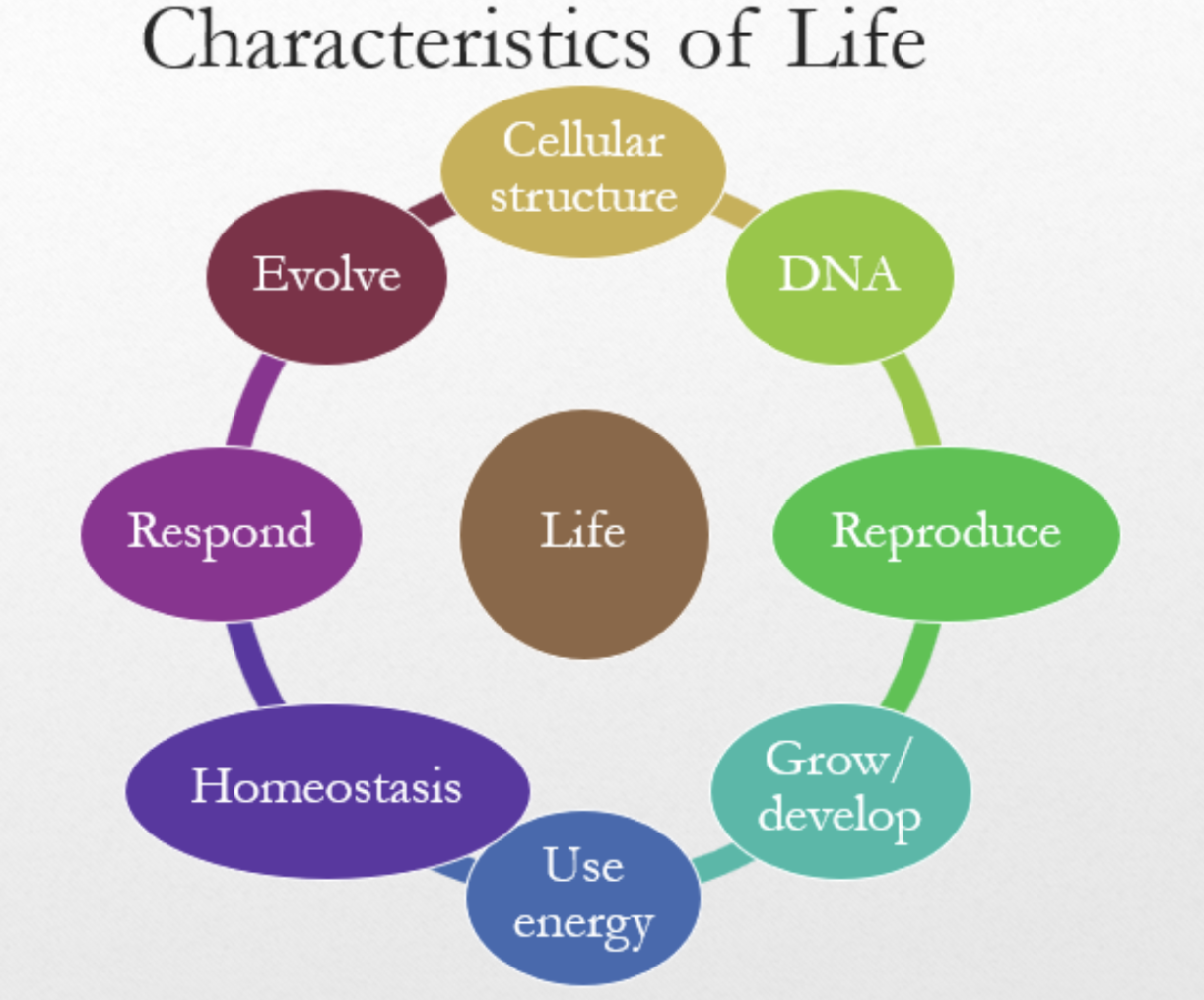 <p>Cellular structure, DNA, reproduction, growth/development, energy use, homeostasis, response to stimuli, and evolution.</p><p>order, sensitivity, adaptation</p>