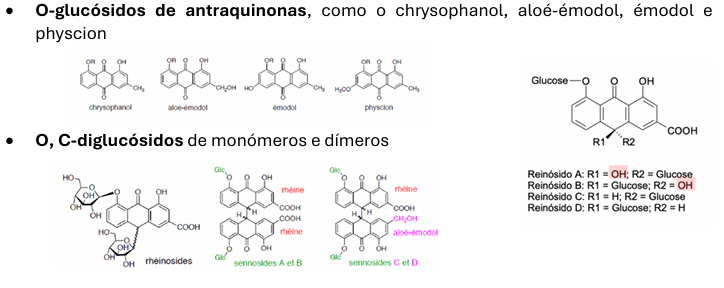 <ul><li><p>O ruibarbo medicinal é obtido a partir das raízes de duas espécies: <em>Rheum palmatum</em> e <em>Rheum officinale</em>.</p></li><li><p>As raízes contêm <strong>O-glucósidos de antraquinonas</strong>, como <strong>crisofanol (chrysophanol)</strong>, <strong>aloé-emodol</strong>, <strong>émodol</strong> e <strong>physcion</strong>.</p></li><li><p>Possuem também <strong>O,C-diglucósidos</strong> de <strong>monómeros e dímeros</strong>.</p></li><li><p>O ruibarbo é muito utilizado no tratamento de <strong>infeções da cavidade bucal</strong>.</p></li><li><p>Devido à presença de <strong>taninos</strong>, apresenta ação <strong>antidiarreica</strong> e <strong>adstringente</strong>.</p></li></ul><p></p>