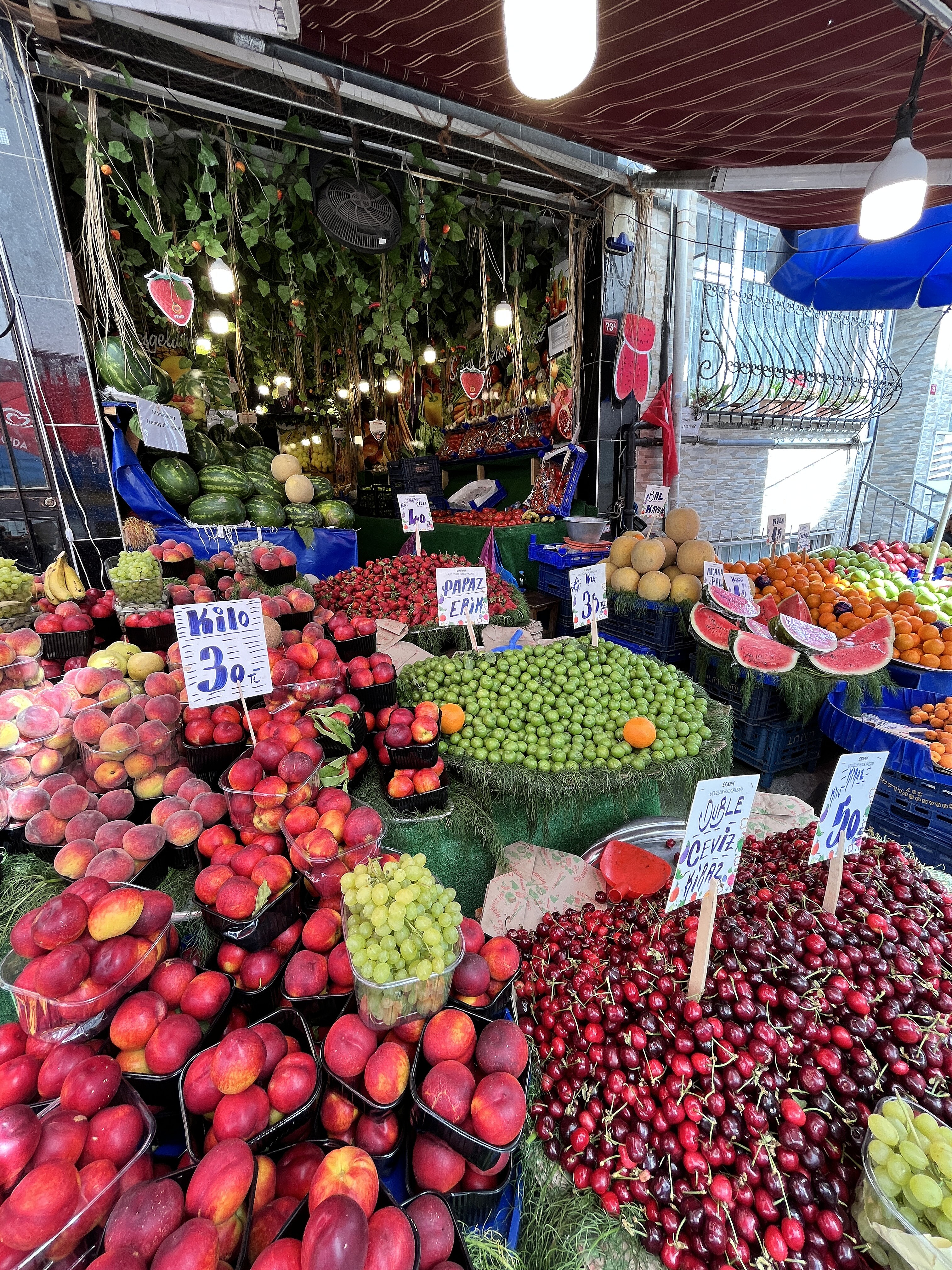 <p><strong>Manav</strong></p>