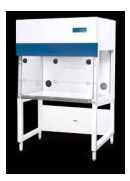 <p>What section of the molecular lab is it located?</p>