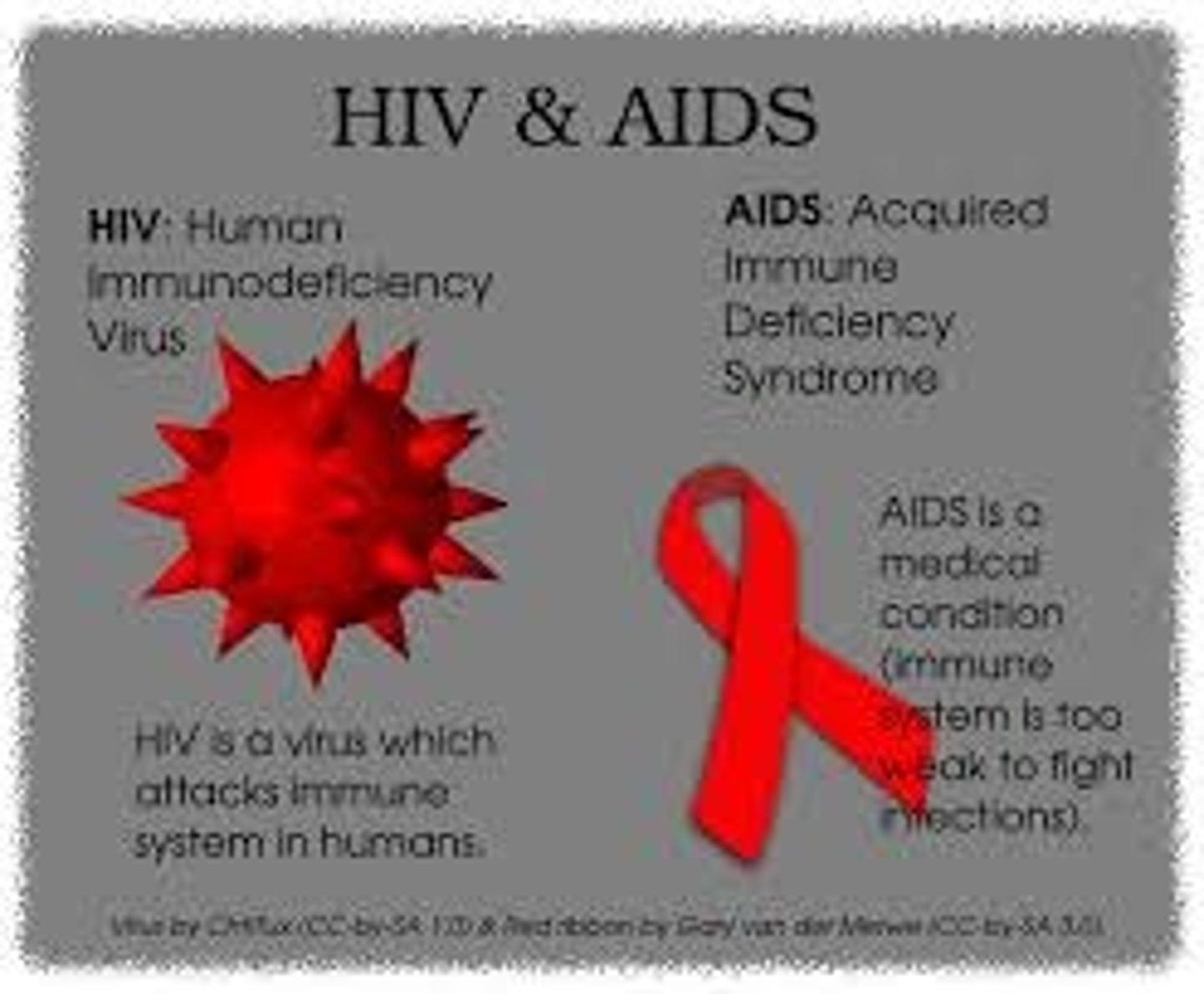 <p>AIDS</p>