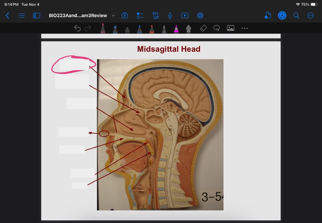 <p>What is this?</p>