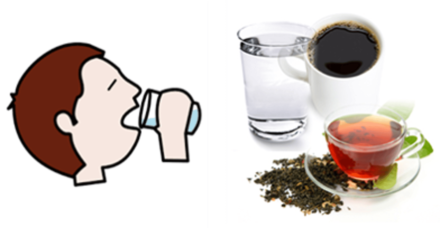 <p>have/drink tea</p>