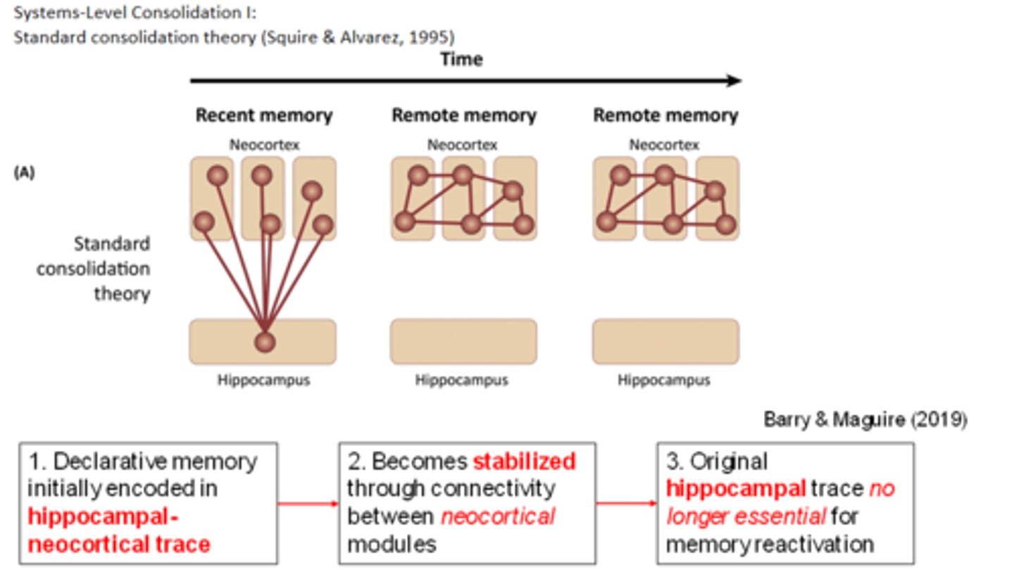 <p>All aspects of an experience cause changes in the relevant cortical areas. The MTS (/Hippocampus) c takes one of changes during an experience and forms new connections between itself and these cortical areas. This leads to activation of one component spreading throughout the network and it allows you to experience an entire experience from one trigger</p>
