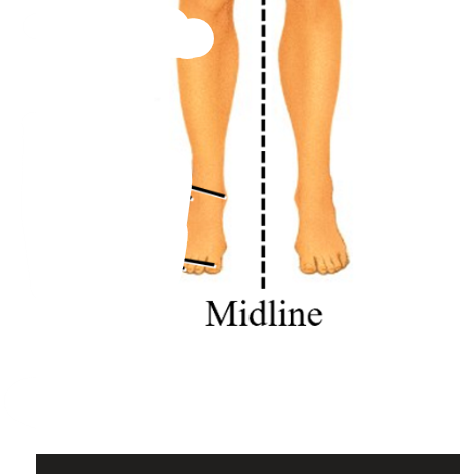 <p>middle of body</p>