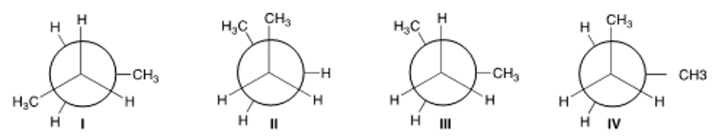 <p>B</p>