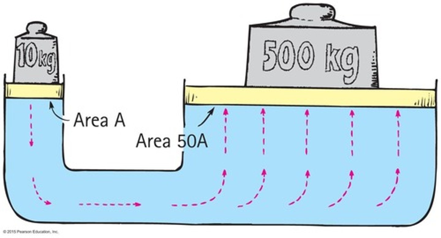 <p>A change in pressure at any point in an enclosed fluid at rest is transmitted undiminished to all points in the fluid.</p>