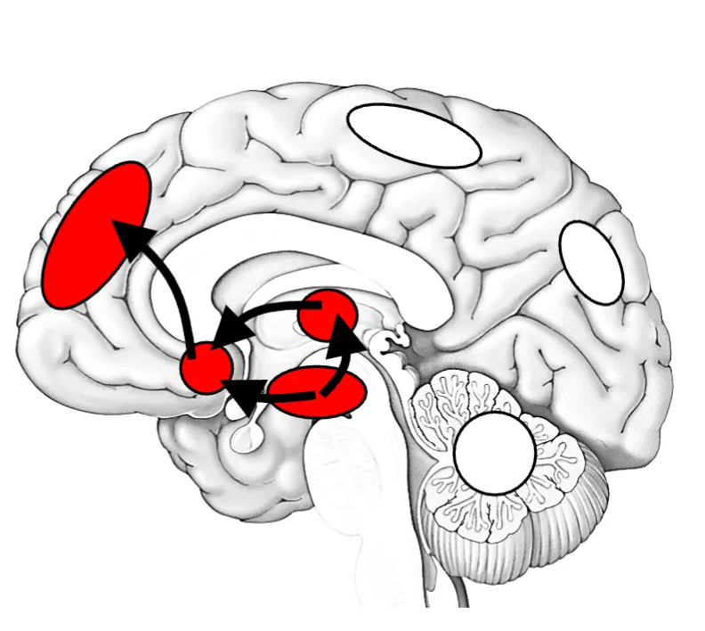 <p>Reward network </p>