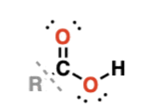 <ul><li><p>RCOOH —&gt; have a carbonyl bonded to -OH, but are distinct functional groups from alcohols </p></li><li><p>examples: acetic acid (vinegar), formic acid, butanoic acid </p></li><li><p>hydroxyl group participates in hydrogen bonding—&gt; higher boiling points </p></li><li><p>tend to be relatively weak acids, not undergoing full dissociation in water </p></li></ul><p></p>