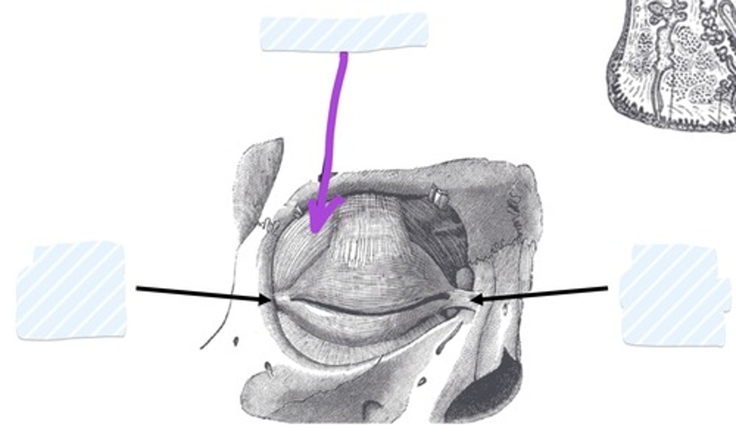 <p></p>