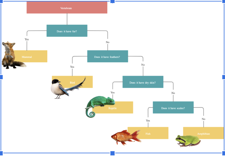 <ol><li><p><span style="background-color: transparent;"><span>A dichotomous key allows for organizing characteristics in a step-by-step manner. </span></span></p><ol><li><p><span style="background-color: transparent;"><span>By using binary choices for each step, options clearly separate the group into distinct categories, becoming more and more specific with each step.</span></span></p></li></ol></li></ol><p></p>