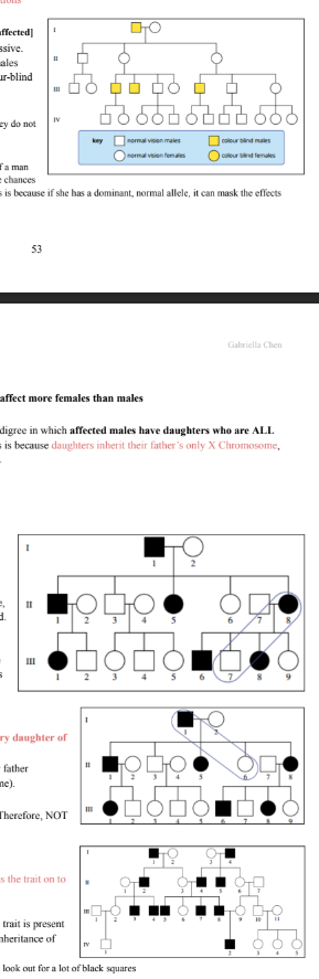 <p>Sex-linked Inheritance</p><p>When the inheritance pattern is sex-linked, that means the trait affects males and females differently. This is</p><p>because females have two X chromosomes (XX) and males only have one (XY).</p><p>To determine whether a trait is sex-linked or autosomal, check these inheritance patterns:</p><p>● Differences in the incidence of the trait between males and females</p><p>● The frequency of the trait across generations</p><p>X-Linked Recessive Inheritance [males more affected]</p><p>Inheritance of colour blindness is X-linked recessive.</p><p>So, males are affected more frequently than females</p><p>(males only have one X chromosome). No colour-blind</p><p>females are observed in this particular pedigree.</p><p>NOTE: If they do not show the partner (like II-2), they do not</p><p>have the trait i.e. they are not affected</p><p>Males are more affected as there’s a higher chance of a man</p><p>inheriting one faulty X chromosome compared to the chances</p><p>of a woman inheriting two faulty chromosomes. This is because if she has a dominant, normal allele, it can mask the effects</p><p>of the faulty recessive allele.</p><p>53</p><p>Gabriella Chen</p><p>X-Linked Dominant Inheritance</p><p>Traits that are X-Linked Dominant are rare and affect more females than males</p><p>Evidence of X-linked dominance is seen in a pedigree in which affected males have daughters who are ALL</p><p>affected and sons who are NOT affected. This is because daughters inherit their father’s only X Chromosome,</p><p>while sons inherit their father’s Y Chromosome.</p><p>/</p><p>Ruling out X Linked Recessive</p><p>In order for a trait to be X-Linked Recessive,</p><p>affected mothers must have affected sons.</p><p>II-8 has two sons, one affected and one</p><p>unaffected. For the trait to be X-linked recessive,</p><p>the mother would be X</p><p>hX</p><p>h</p><p>in order to be affected.</p><p>The mother contributes one of these</p><p>chromosomes to her offspring, so both sons</p><p>would have received an affected allele. But, one</p><p>son does not show the trait. Therefore the trait is</p><p>not X linked recessive.</p><p>Ruling out X Linked Dominant</p><p>In order for a trait to be X-linked dominant, every daughter of</p><p>an affected male must be affected.</p><p>Daughters receive an X-chromosome from their father</p><p>(reminder, the father only has one X-chromosome).</p><p>I-1 has the trait, but his daughter II-6 does not. Therefore, NOT</p><p>X-Linked Dominant - it is autosomal.</p><p>Y-Linked Recessive</p><p>Only males are affected and affected fathers pass the trait on to</p><p>all their sons.</p><p>In this pedigree, only males are affected and the trait is present</p><p>in the offspring of all affected males. Y-linked inheritance of</p><p>disorders is relatively rare.</p><p>NOTE: II-7 is not affected as he is not related. Also, look out for a lot of black squares</p><p></p>