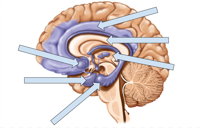 <p>Left to Right</p>