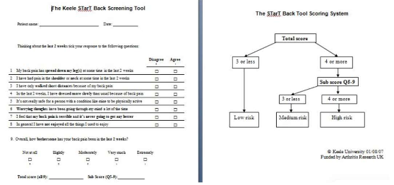 <p>what is STarTBACK?</p>