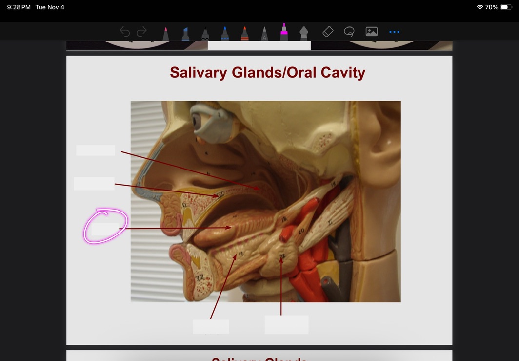 <p>What is this?</p>