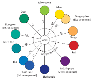 <p>We perceive colour using opposite cells</p><ul><li><p>Photoreceptors are linked together in pairs of opposite colours, activation of one prohibits perception of the other</p></li></ul><p></p>